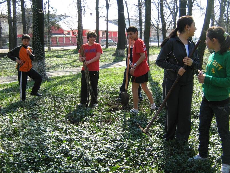 Colegiul Silvic Theodor Pietraru